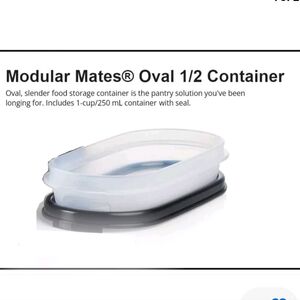 Tupperware 1/2 oval New